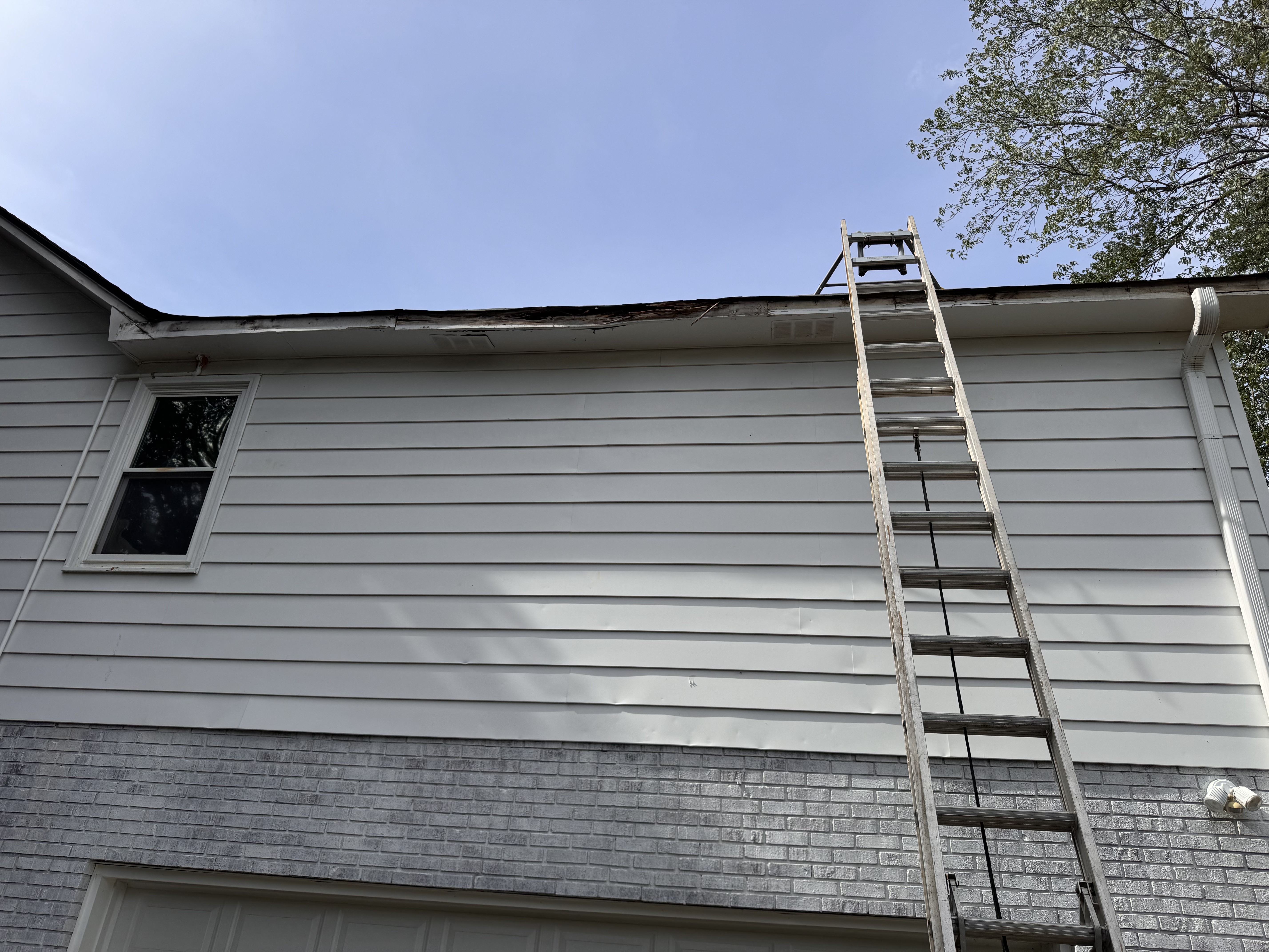 Wood Rot Before